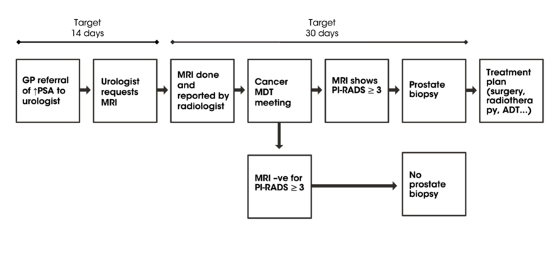 Current prostate cancer pathway