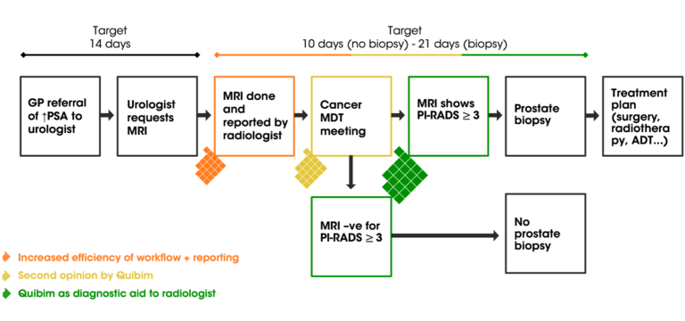 Quibim in current prostate cancer pathway