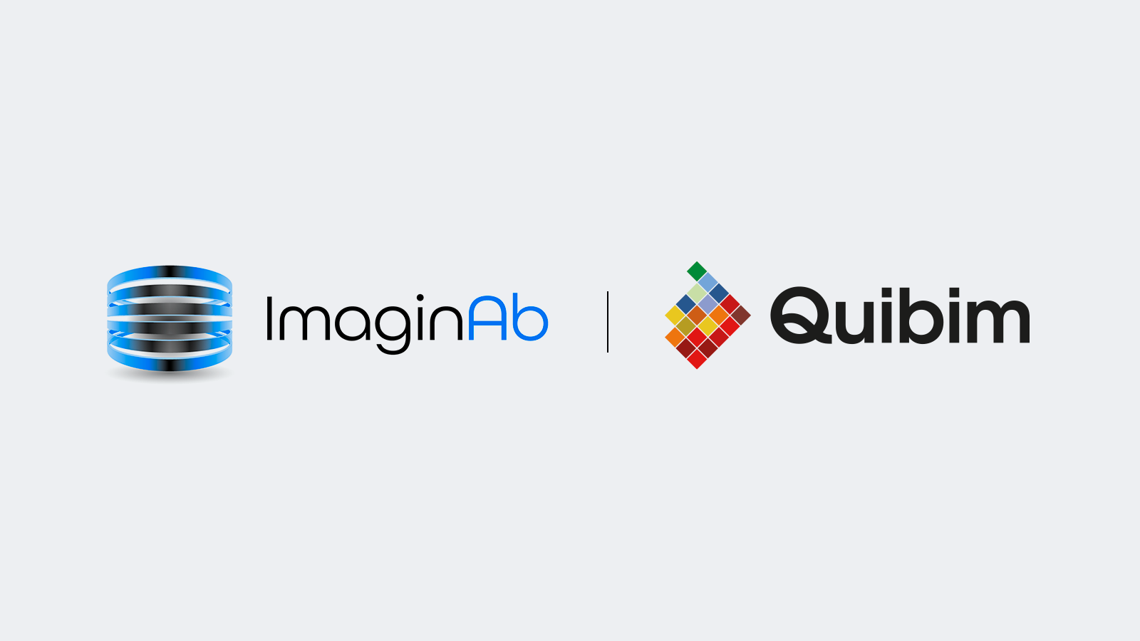 ImaginAb Quibim logos