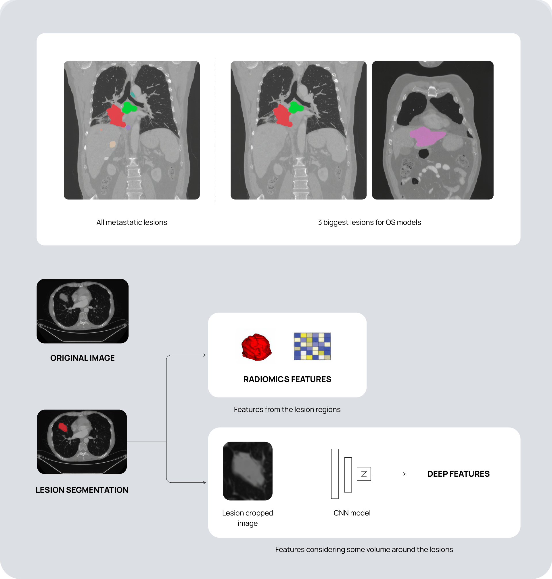 241209_Merck_Diagram