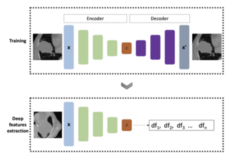 Captura de pantalla 2025-05-20 a las 12.32.26